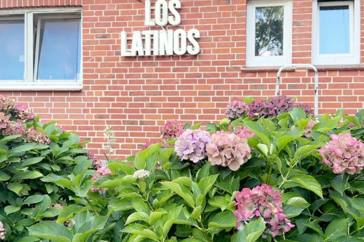 547372648_1335352291935184_82790641196204309_n