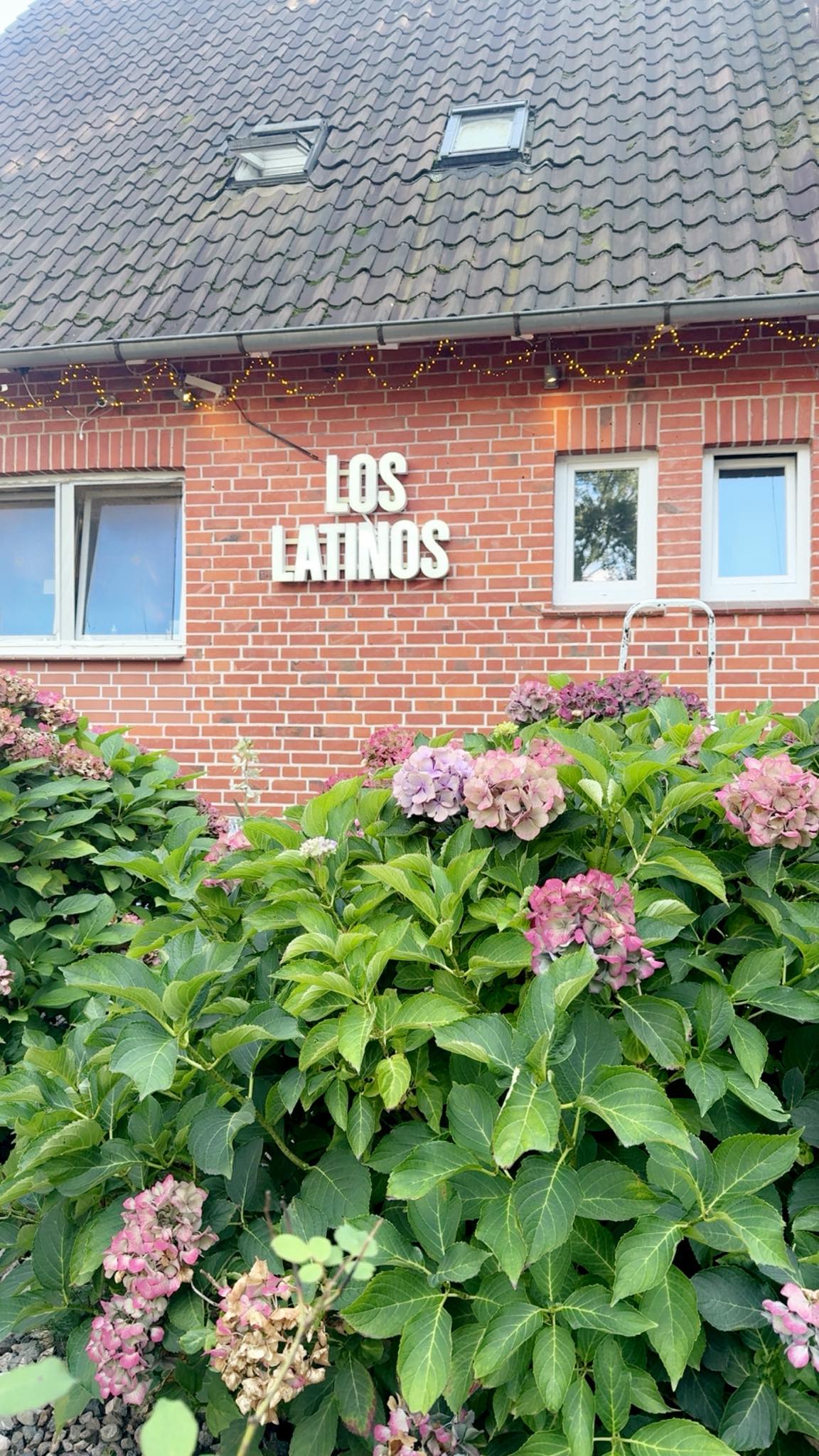 547372648_1335352291935184_82790641196204309_n